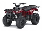 2010 Kawasaki Bayou 250 photo